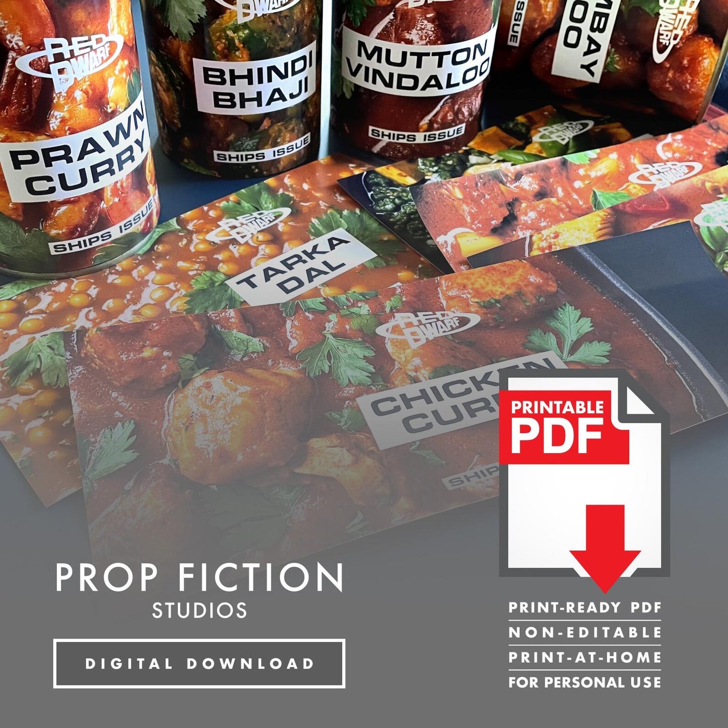 JMC Red Dwarf Ship's Issue Can Labels: Printable PDFs - Prop Curry / Indian Food Tin Cosplay Label Sets - Printable PDFs / Digital Downloads
