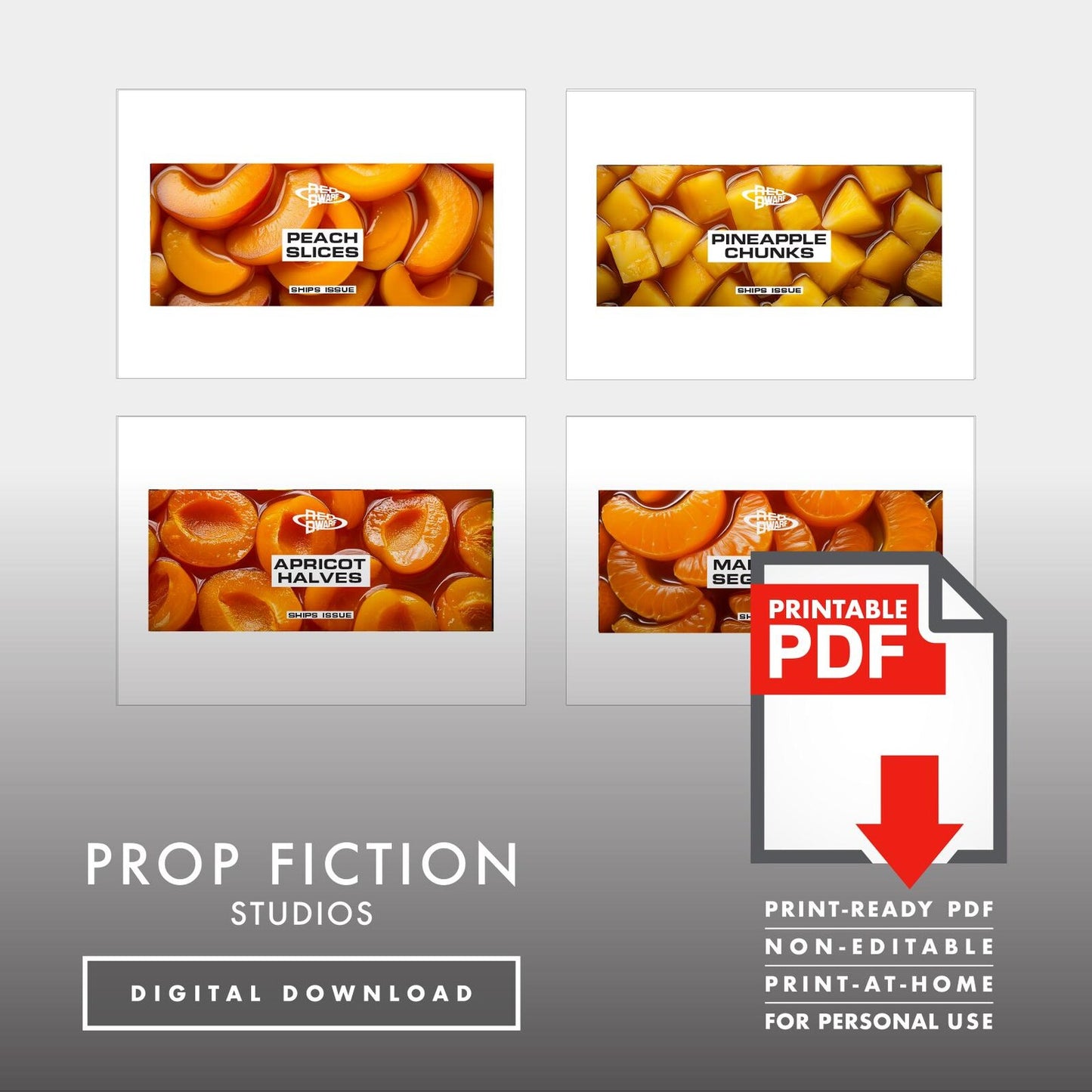 JMC Red Dwarf Ship's Issue Can Labels: Printable PDFs - Prop Ship Stores Food Tin Cosplay Label Sets - Printable PDFs / Digital Downloads