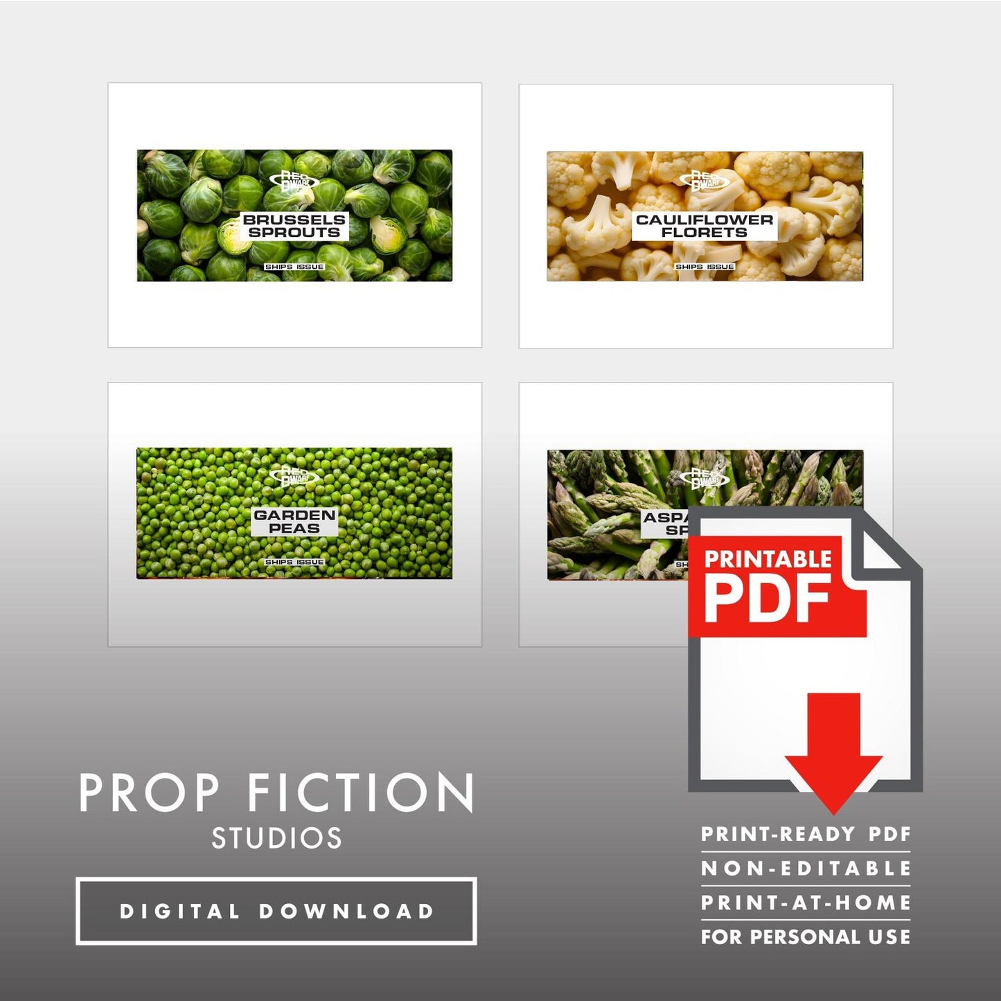 JMC Red Dwarf Ship's Issue Can Labels: Printable PDFs - Prop Ship Stores Food Tin Cosplay Label Sets - Printable PDFs / Digital Downloads