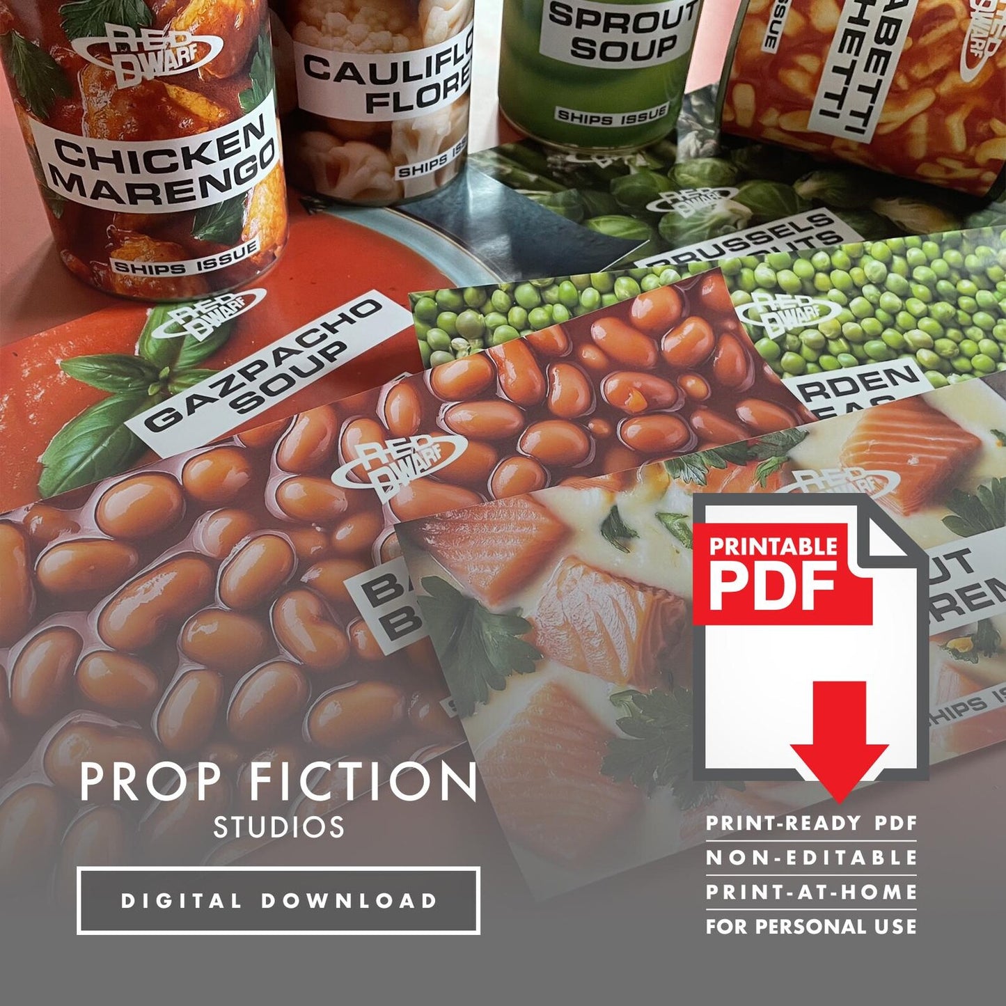 JMC Red Dwarf Ship's Issue Can Labels: Printable PDFs - Prop Ship Stores Food Tin Cosplay Label Sets - Printable PDFs / Digital Downloads